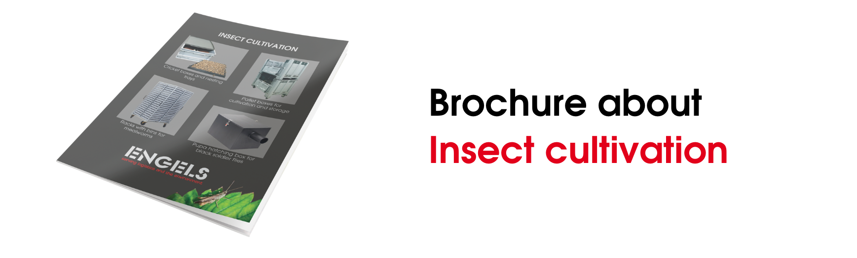 Insect cultivation